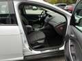 Ford Focus Sync Edition Weiß - thumbnail 12