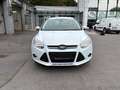 Ford Focus Sync Edition Weiß - thumbnail 5