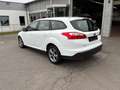 Ford Focus Sync Edition Weiß - thumbnail 1