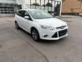 Ford Focus Sync Edition Weiß - thumbnail 6