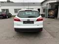 Ford Focus Sync Edition Weiß - thumbnail 4