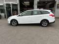 Ford Focus Sync Edition Weiß - thumbnail 3