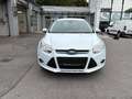 Ford Focus Sync Edition Weiß - thumbnail 9