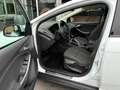 Ford Focus Sync Edition Weiß - thumbnail 11