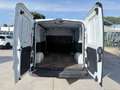Fiat Talento Talento 1.6 MJT 120CV PC-TN Furgone 10q Weiß - thumbnail 11