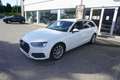 Audi A4 Avant 35 TDI S-tronic *LED*AHK*LEDER* Weiß - thumbnail 2