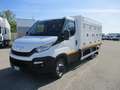 Iveco Daily 35C12 2.3 120CV E6 FRIGO RRC -40° ATP 03/27 KM0 Blanco - thumbnail 4