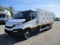 Iveco Daily 35C12 2.3 120CV E6 FRIGO RRC -40° ATP 03/27 KM0 Blanco - thumbnail 1