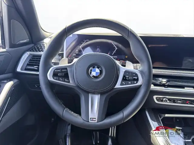 BMW X5 view 14