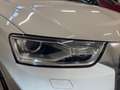 Audi Q3 2.0 tdi Business 120cv s-tronic White - thumbnail 7