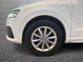 Audi Q3 2.0 tdi Business 120cv s-tronic White - thumbnail 6