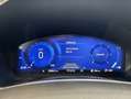 Ford Kuga 2.0 EcoBlue Aut. ST-LINE X Gris - thumbnail 10