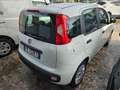 Fiat Panda 1.3 MJT 95 CV S&S Easy Bianco - thumbnail 4