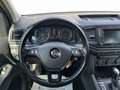 Volkswagen Amarok Comfortline DoubleCab 4Motion mit Standheizung Blau - thumbnail 21