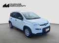 Fiat Panda PREZZO REALE SENZA VINCOLO DI FINANZIAMENTO Blanc - thumbnail 8