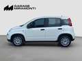Fiat Panda PREZZO REALE SENZA VINCOLO DI FINANZIAMENTO Blanc - thumbnail 3
