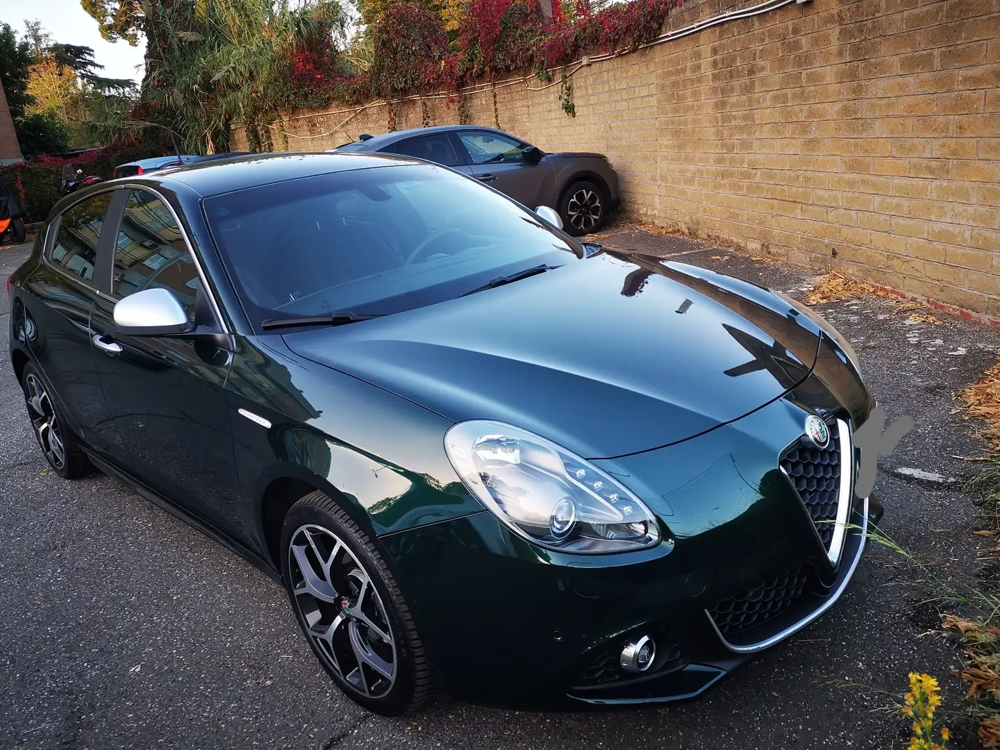 Alfa Romeo Giulietta Giulietta 1.6 jtdm Super L.E. 120cv Vert - 1
