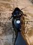 Honda CBR 600 RR Noir - thumbnail 9