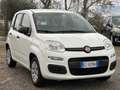 Fiat Panda 1.2 Easy s&s 69cv IVA DEDUCIBILE - thumbnail 1