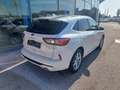 Ford Kuga 2,5 Duratec FHEV AWD Vignale Aut. Blanc - thumbnail 4