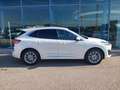 Ford Kuga 2,5 Duratec FHEV AWD Vignale Aut. Blanc - thumbnail 10