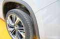 Skoda Kodiaq 2,0 TDI SCR 4x4 RS DSG Gris - thumbnail 20