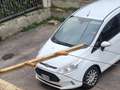 Ford B-Max 1.5 tdci Business Titanium 75cv Bianco - thumbnail 4