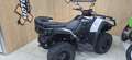 Kymco Gris - thumbnail 2