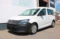 Volkswagen Caddy Basis 2.0 TDI DSG Klima SHZ PDC Weiß - thumbnail 1