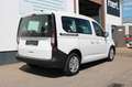 Volkswagen Caddy Basis 2.0 TDI DSG Klima SHZ PDC Weiß - thumbnail 8