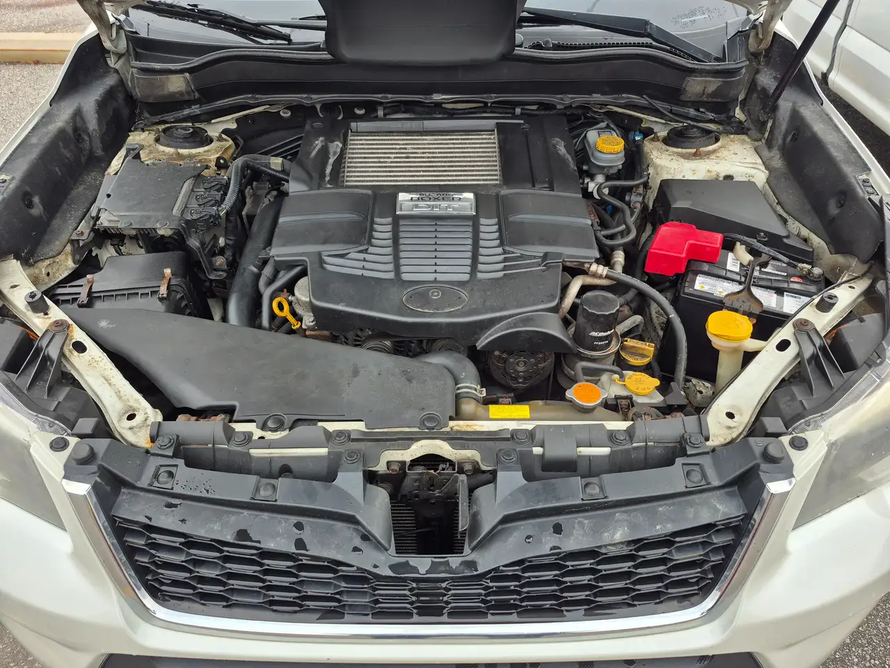 Subaru Forester снимка Subaru Forester