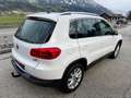 Volkswagen Tiguan 1,4 TSI Sport&Style  1. Besitz Weiß - thumbnail 12