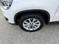 Volkswagen Tiguan 1,4 TSI Sport&Style  1. Besitz Weiß - thumbnail 6