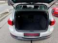 Volkswagen Tiguan 1,4 TSI Sport&Style  1. Besitz Weiß - thumbnail 41