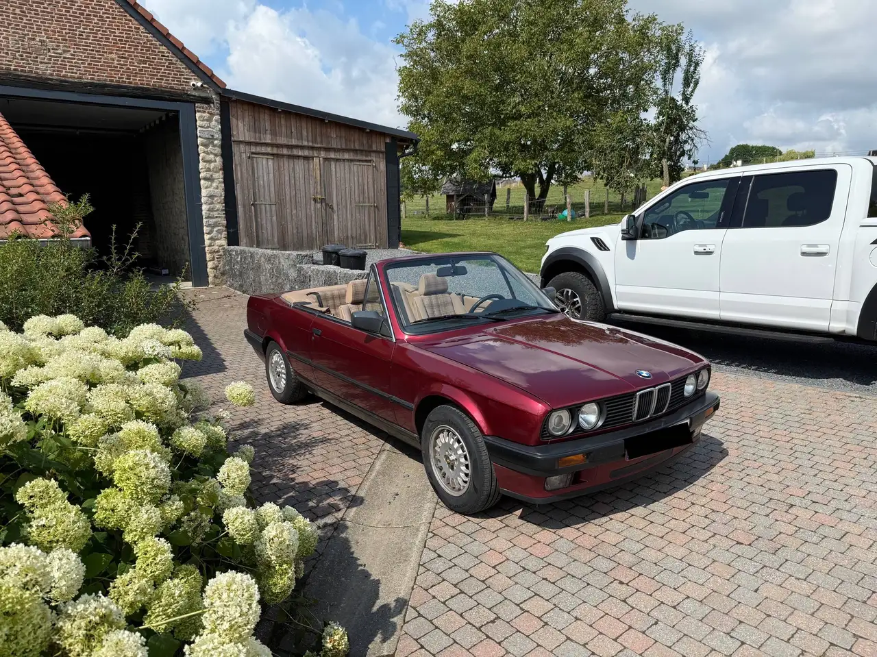 BMW 318 Cabriolet, foto 4