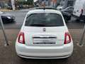 Fiat 500 1.0 Hybrid Dolcevita *DAB *Pano *Klima *GJR Weiß - thumbnail 5