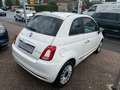 Fiat 500 1.0 Hybrid Dolcevita *DAB *Pano *Klima *GJR Alb - thumbnail 4