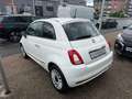 Fiat 500 1.0 Hybrid Dolcevita *DAB *Pano *Klima *GJR Alb - thumbnail 6