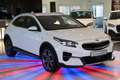 Kia XCeed JBL Sound Edition*LEDER*NAVI*LED*SHZ*PDC* Blanc - thumbnail 2