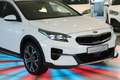 Kia XCeed JBL Sound Edition*LEDER*NAVI*LED*SHZ*PDC* Blanc - thumbnail 11