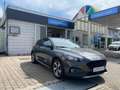 Ford Focus Active * Techn. Paket 1+2*Easy-Parking Paket* Gris - thumbnail 1