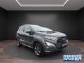Ford EcoSport ST-Line B & O Bi-Xenon Navi Kamera Grau - thumbnail 6