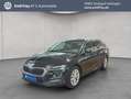 Skoda Octavia Combi 2.0 TDI Schwarz - thumbnail 1