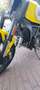 Ducati Scrambler icon Sárga - thumbnail 7