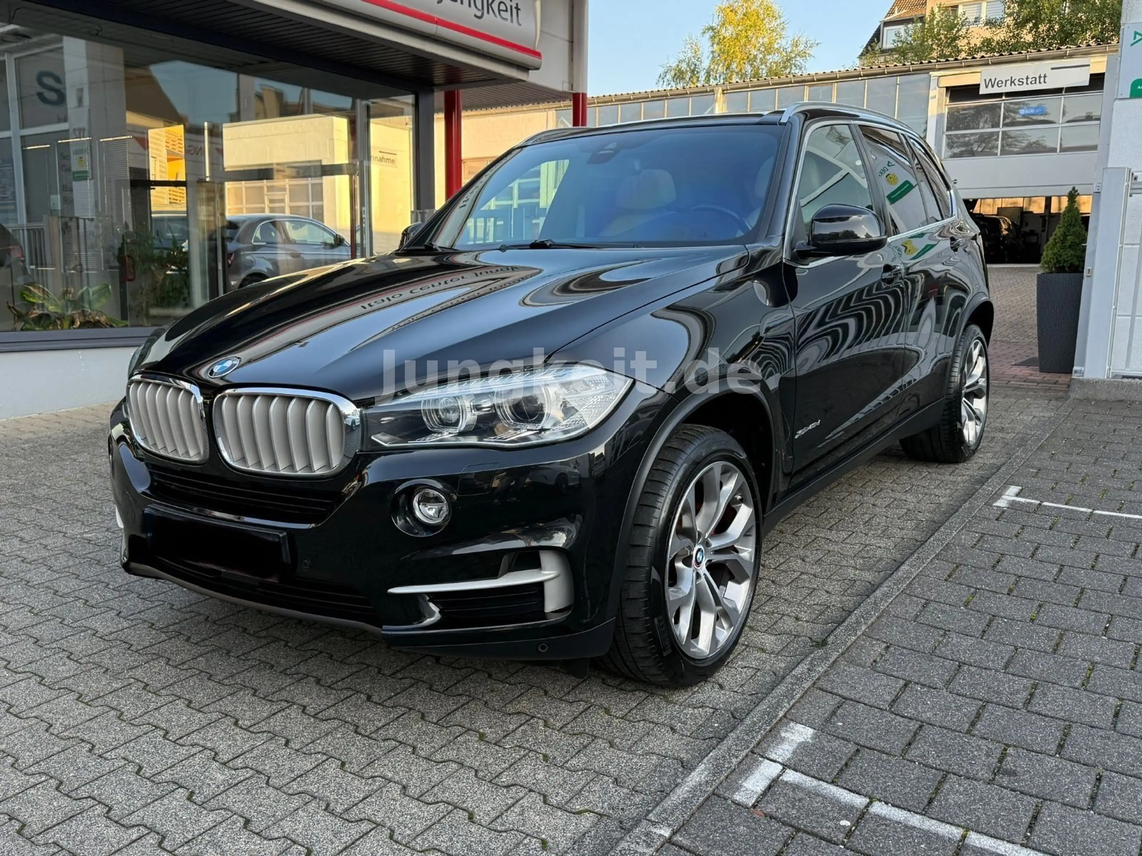 BMW X5 xDrive 40 d *Panorama*R-Kamera* — photo 2