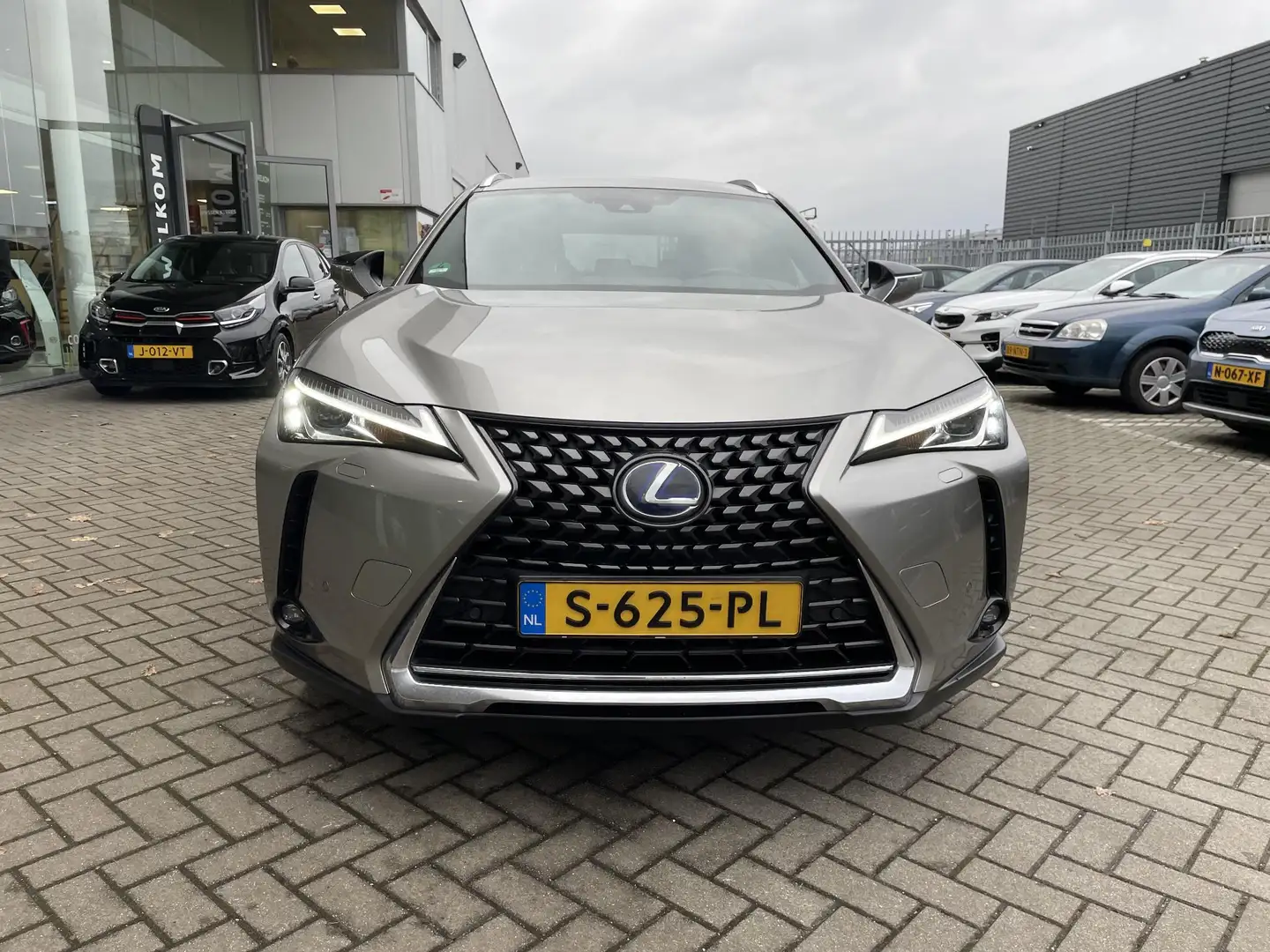 Lexus UX 250h Business Line ADAPT. CRUISE | CLIMA | CAMERA | STO Grijs - 2