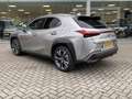 Lexus UX 250h Business Line ADAPT. CRUISE | CLIMA | CAMERA | STO Grijs - thumbnail 9