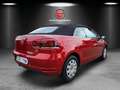 Volkswagen Golf Cabriolet Basis BMT 1,6 TDI,1 Hand Rosso - thumbnail 7