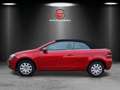 Volkswagen Golf Cabriolet Basis BMT 1,6 TDI,1 Hand Rouge - thumbnail 4