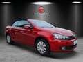 Volkswagen Golf Cabriolet Basis BMT 1,6 TDI,1 Hand Rouge - thumbnail 3